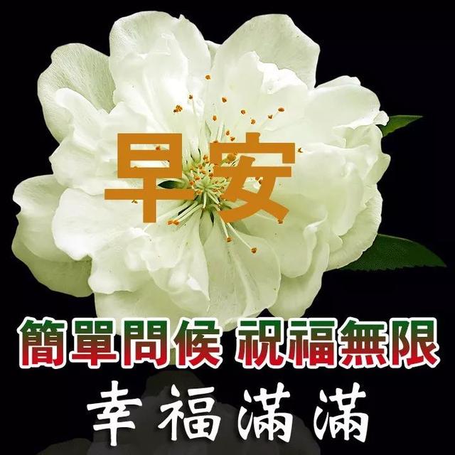 问候朋友早上好的温馨祝福语 温馨祝福早上好的短语