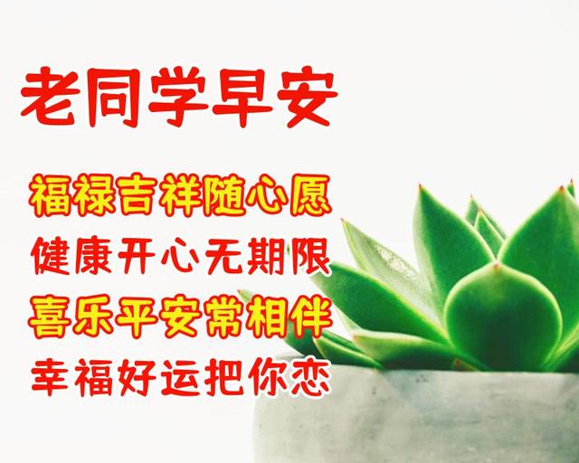 送给老同学的美好祝福语 祝福老同学的漂亮图片带字