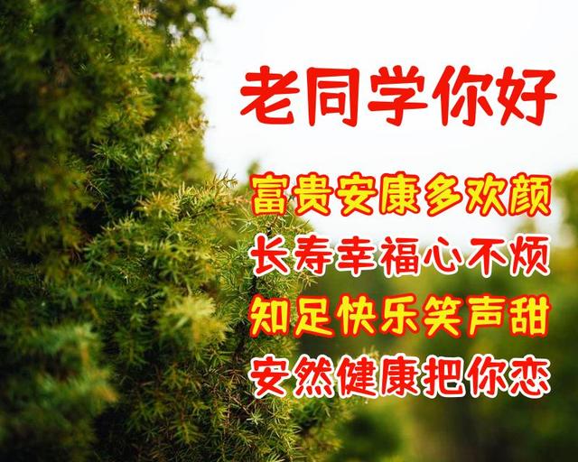 送给老同学的美好祝福语 祝福老同学的漂亮图片带字