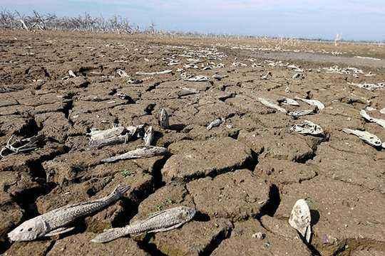 灾祸古诗词集锦-2020庚子年:瘟疫洪灾蝗灾火山地震战乱