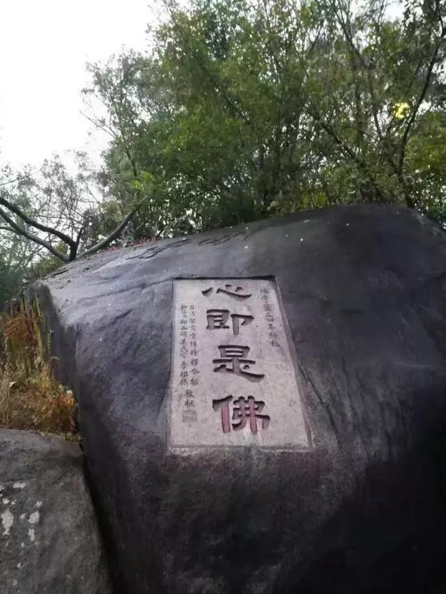 禅悟：让生命趋向完美的过程