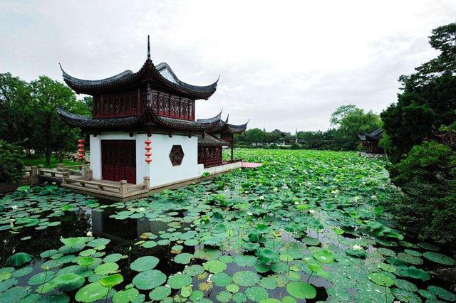 《红楼梦》20句俗语，句句接地气，说尽世故人情，值得细品收藏