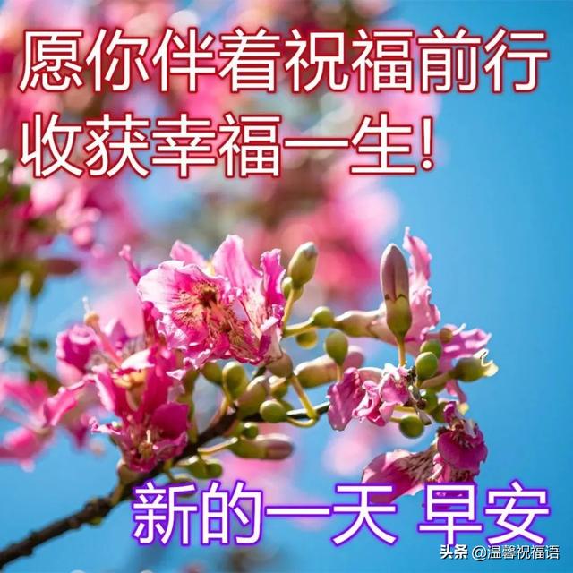 最美春日风景早上好图片带字带祝福语 朋友圈早安问候图片带字温馨