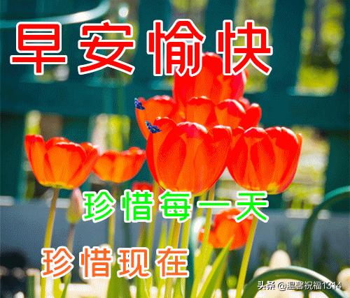 3月15日清晨早安春日暖心祝福美句 最新问候朋友早上好的表情图片