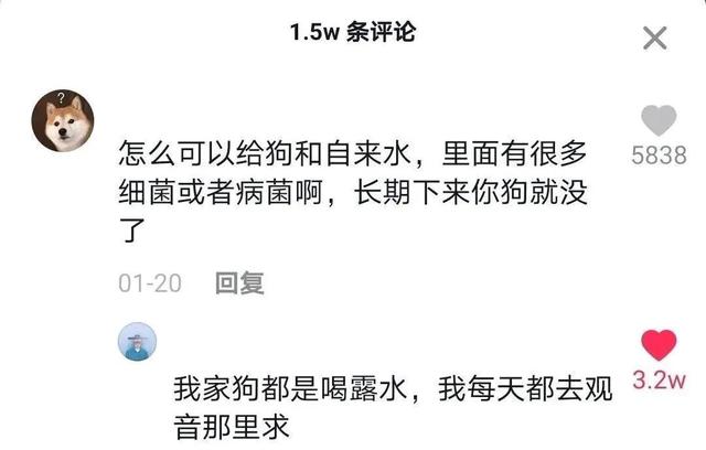 盘点一下抖音上那些精彩的神评论，看看谁笑的最大声