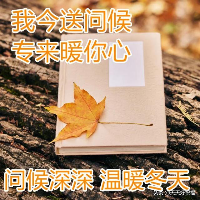 12月28日最美早上好问候图片，清晨早安心语问候语