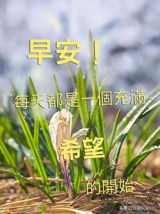 4月13日早上好祝福语优美句子，祝您天天好心情，事事都顺利