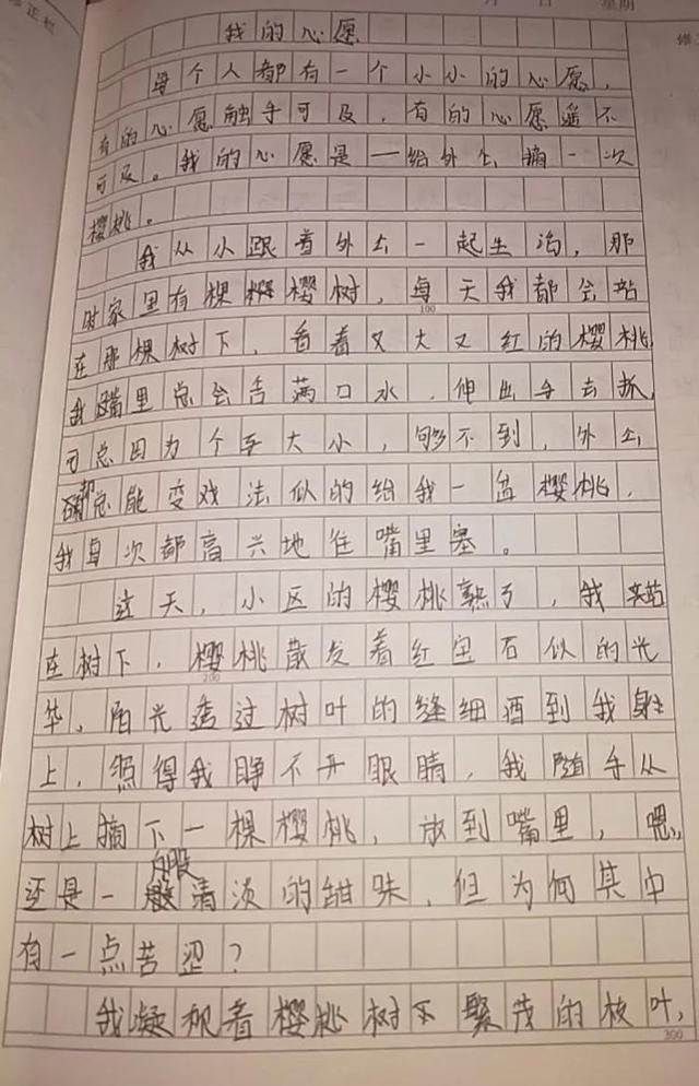 统编六下第四单元优秀作文集选——心愿