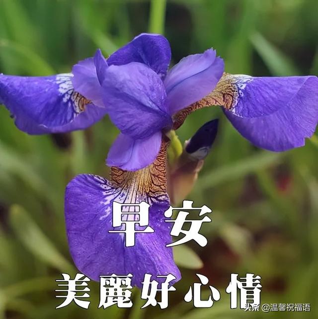 4月25日星期一早上好祝福语大全 新的一周顺顺利利