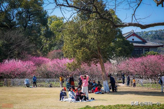 杭州西湖迎来最美时节，去西湖边逛逛，这一刻真正感受到天堂魅力