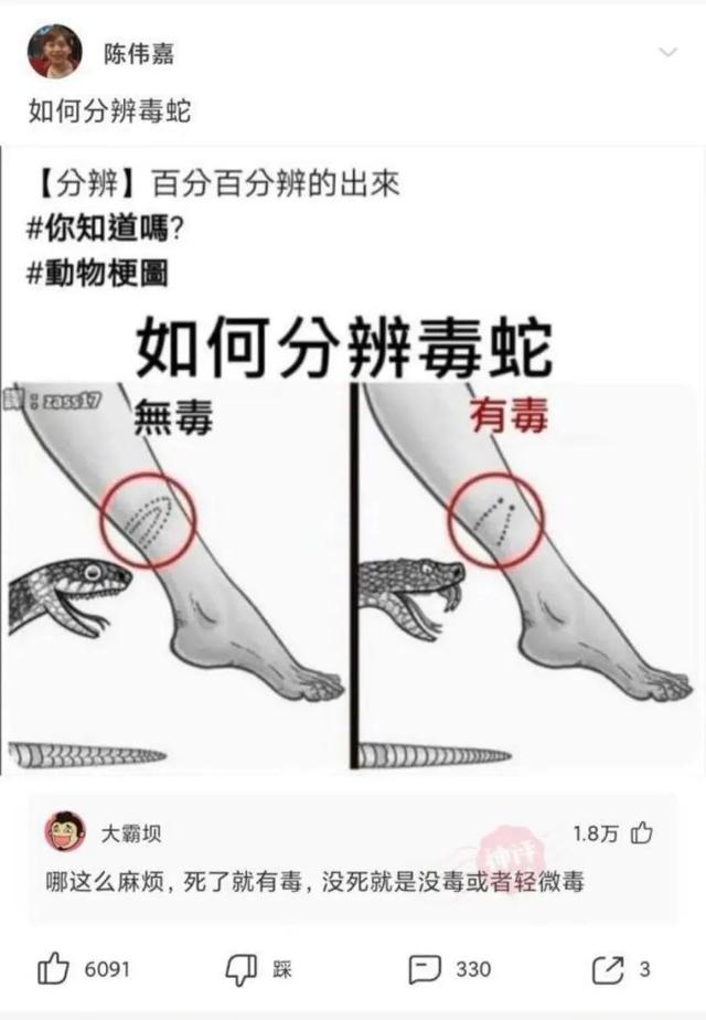 搞笑一刻：女友发“早上好”直男才回“早”高情商回复暖她一整天