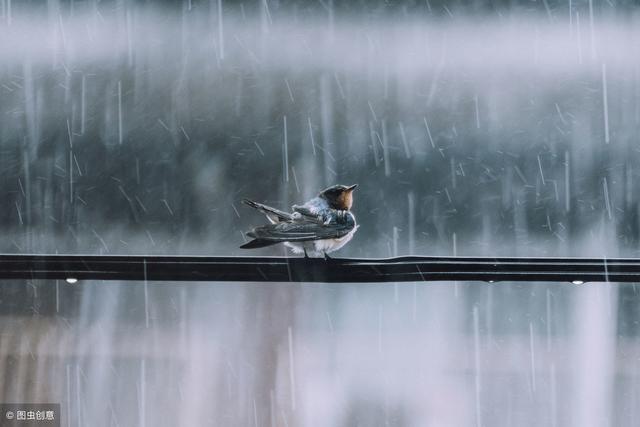 飞花令——雨「100句含雨的古诗词，唐诗多雨，宋词也多雨」