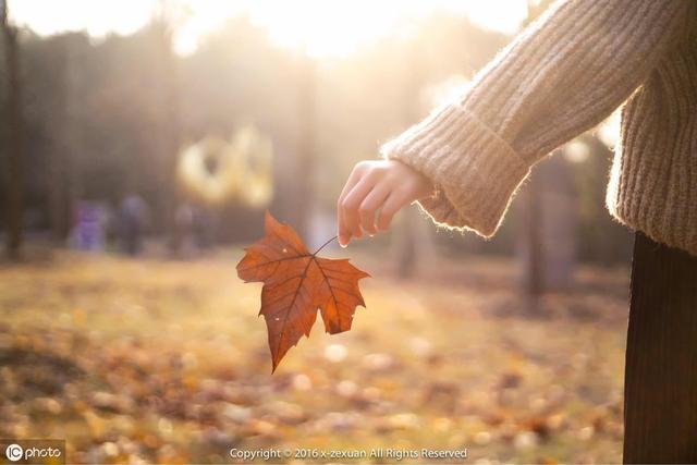 微信上对男友昵称这么备注，让他甜到心间，男友会加倍宠你