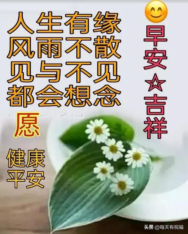 早上好！吉祥之晨，寄一份温暖；问候之中，寄一份祝福；