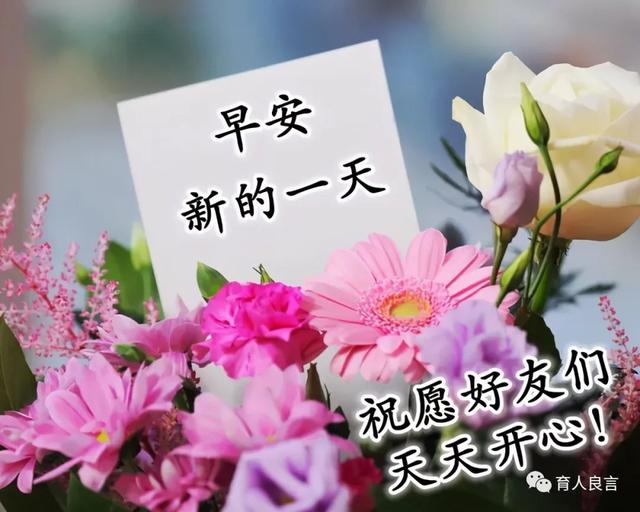 早上好祝福问候正能量语录，朋友圈早安祝福图片