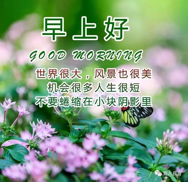 早上好祝福问候正能量语录，朋友圈早安祝福图片