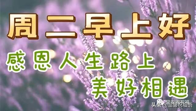 4月12日早安祝福,守住健康是真金,每天问候是真心,祝您每天好心情