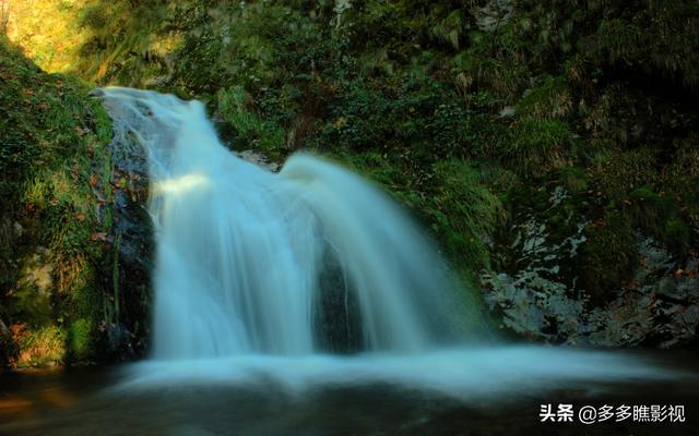 每日十句美言美句⑥