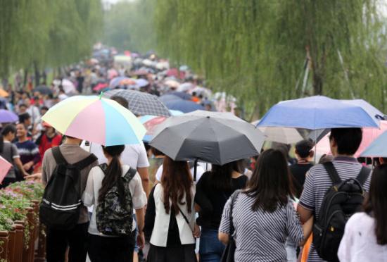 原创：十月，阴雨绵绵