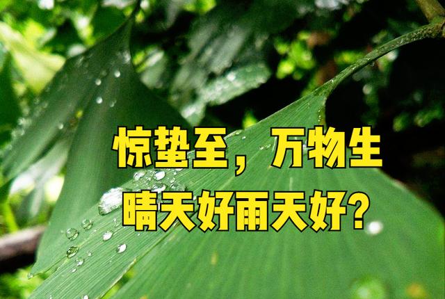 “惊蛰至，万物生”，惊蛰当天下雨好还是晴天好？看看农谚就知道