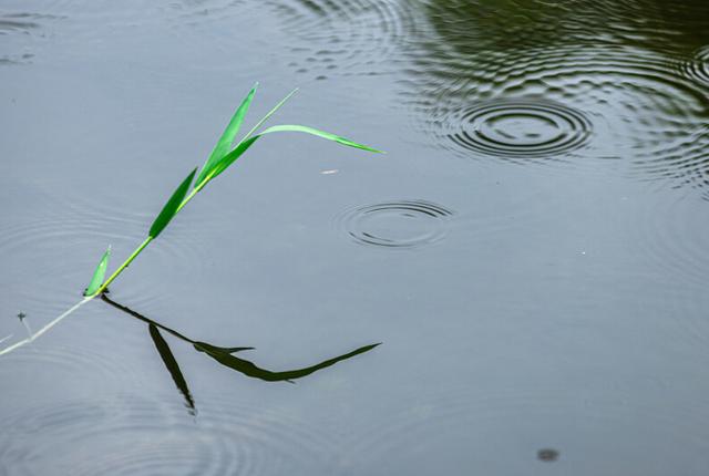 “惊蛰至，万物生”，惊蛰当天下雨好还是晴天好？看看农谚就知道