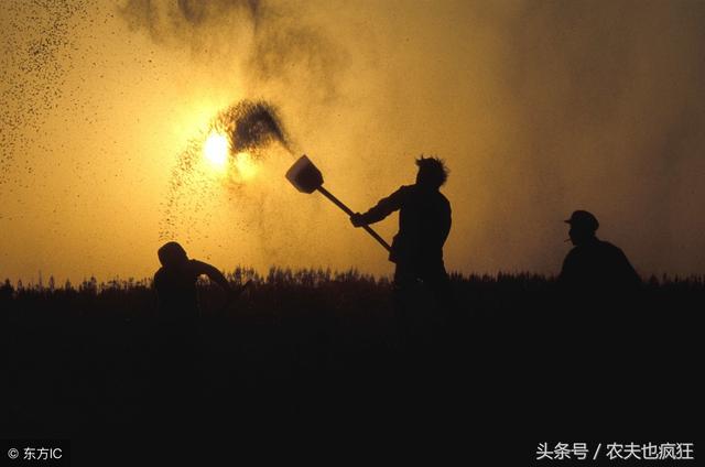 老话说：十句谚语九句真，农村这些天气谚语太实用了，收藏了！