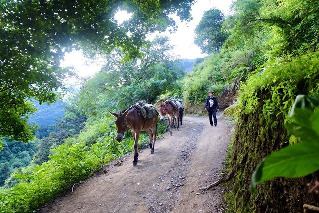 中国12个最美小山村，去过5个不简单，全部去过的就太幸福了