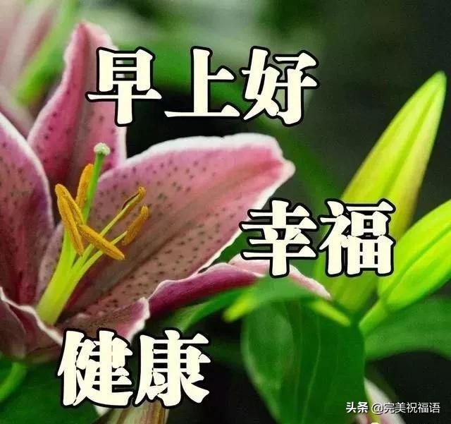 大年初三，最美暖心祝福语，送给在乎的人