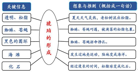 部编版四年级语文（下册）课后习题答案