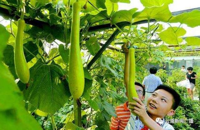 加油吧少年丨让孩子走上科学探索之路