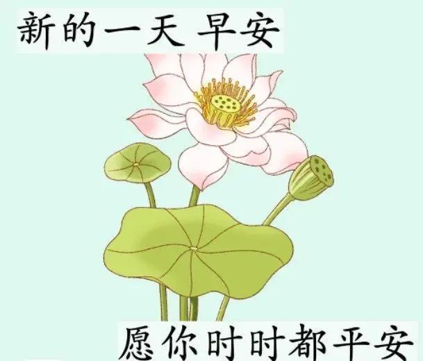 2月18日特漂亮暖心早安祝福语短信大全 早上好图片带字带祝福语