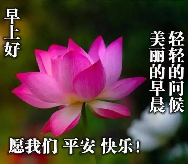 2月18日特漂亮暖心早安祝福语短信大全 早上好图片带字带祝福语