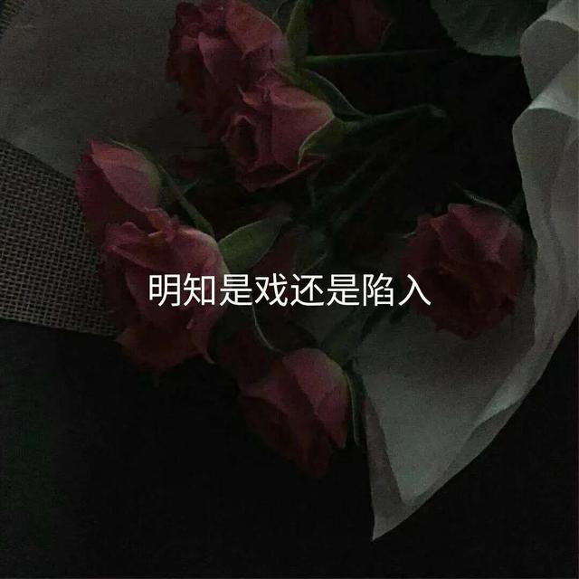 适合什么时候都能发的深夜eom文案