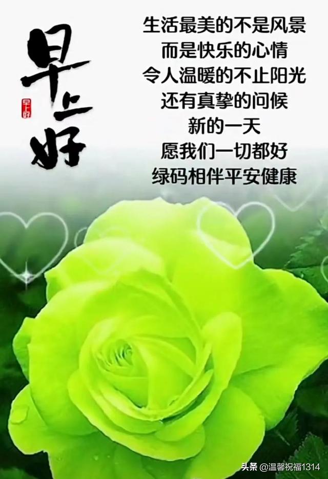 早安抗疫美好祝福！心相通意相连，彼此问候暖心间；多保重共平安