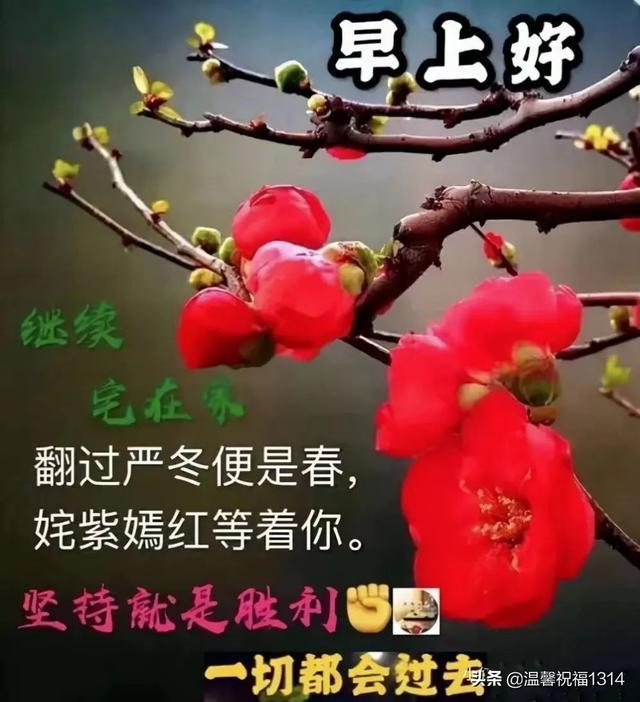 早安抗疫美好祝福！心相通意相连，彼此问候暖心间；多保重共平安