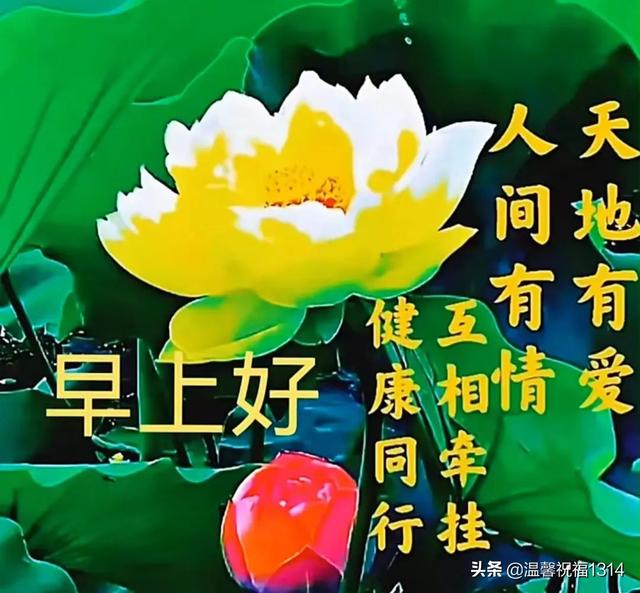 早安抗疫美好祝福！心相通意相连，彼此问候暖心间；多保重共平安