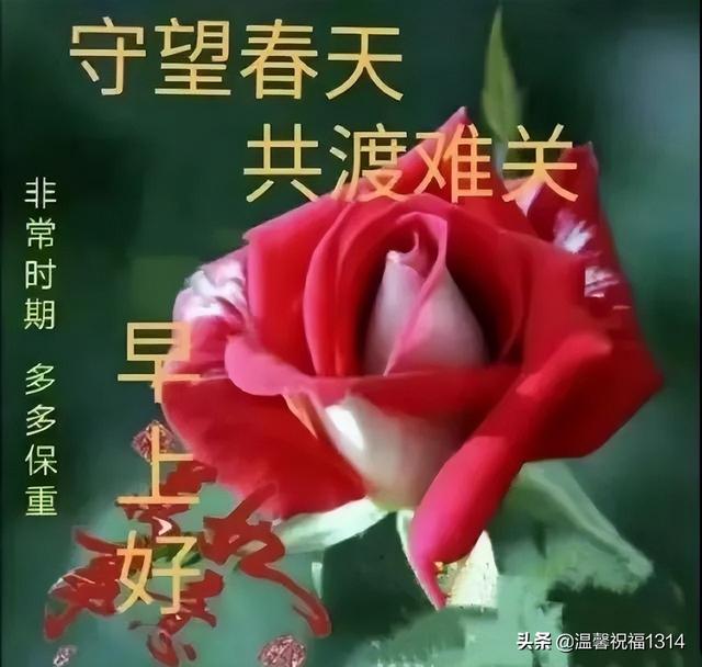 早安抗疫美好祝福！心相通意相连，彼此问候暖心间；多保重共平安