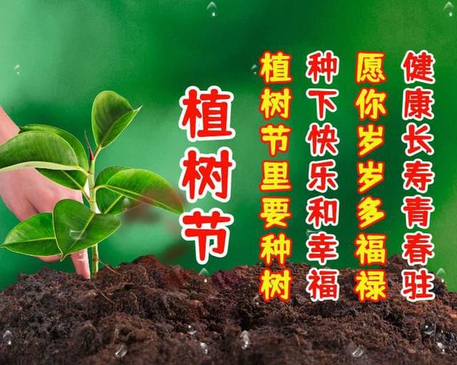 植树节祝福语，愿你有“树”不尽的快乐