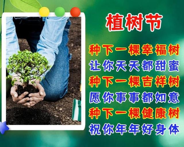 植树节祝福语，愿你有“树”不尽的快乐