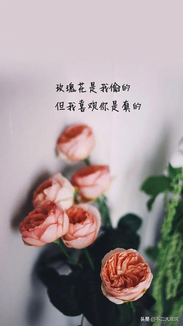 收集了一些