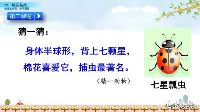 一年级下册语文课文19《棉花姑娘》图文详解及同步练习