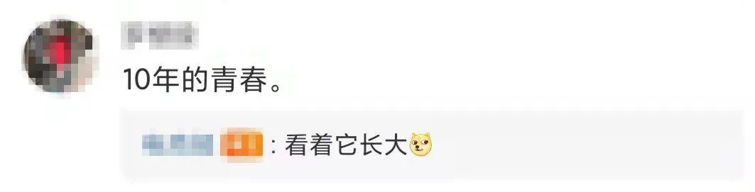 微信10年刷屏，网友感慨：时间过得真快