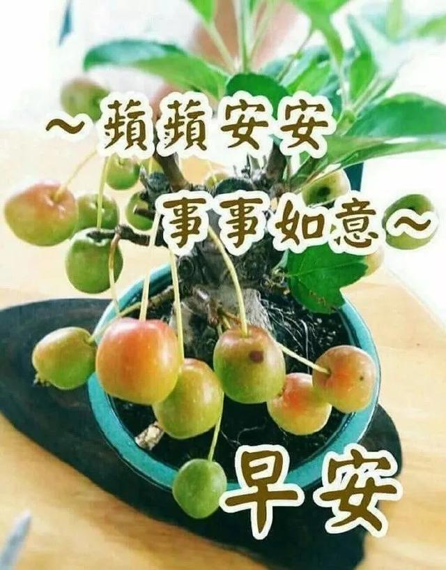 周三早上好朋友圈心情短句 祝你一帆风顺，一生幸福