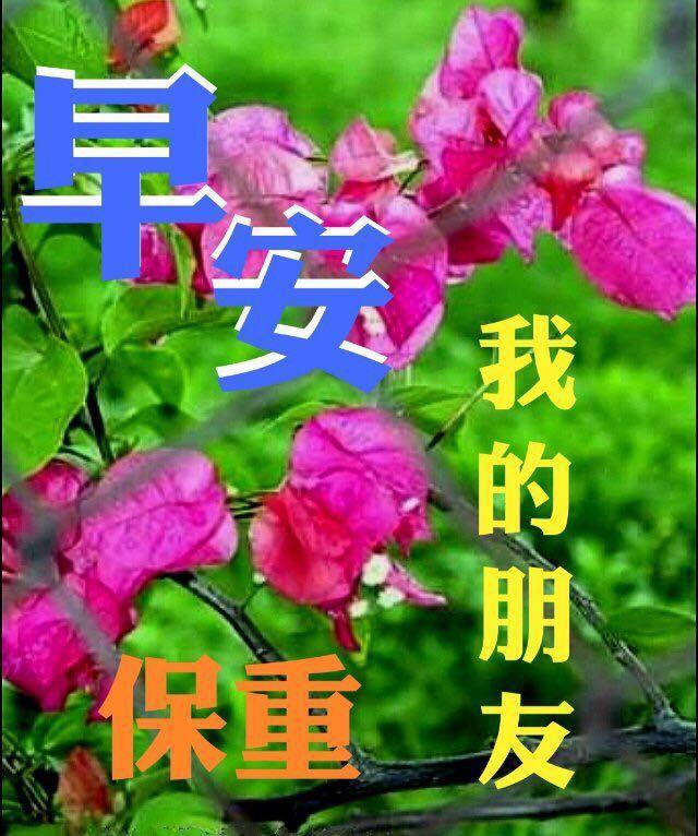 周三早上好朋友圈心情短句 祝你一帆风顺，一生幸福