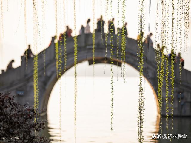 赏读王国维诗词中的冬去春来：急景流年真一箭，风里垂杨千万线