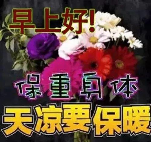 每天传达我对你深深的祝福，亲爱的，天冷了，保重身体，早安