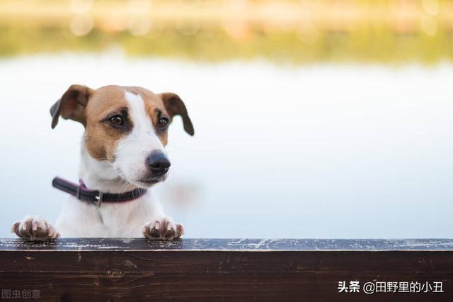 婚姻实录：她爱他，可是他更爱自由