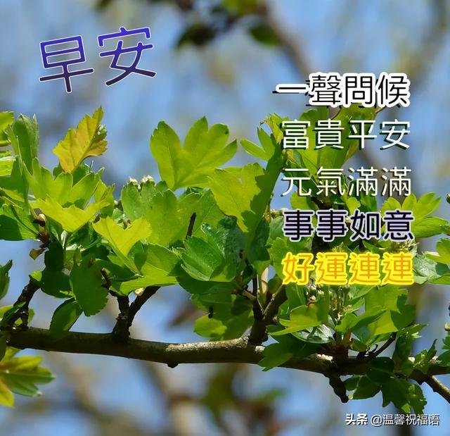 4月15日最新朋友圈早上好问候语 望您健康又快乐