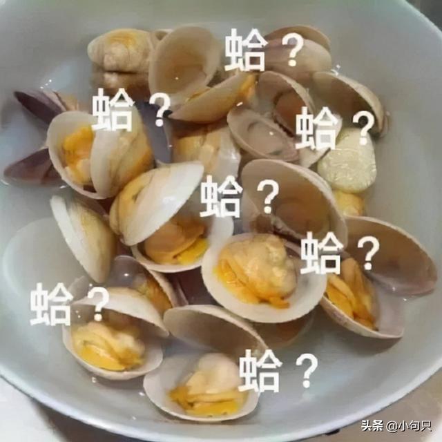 沙雕又可爱的朋友圈文案来啦