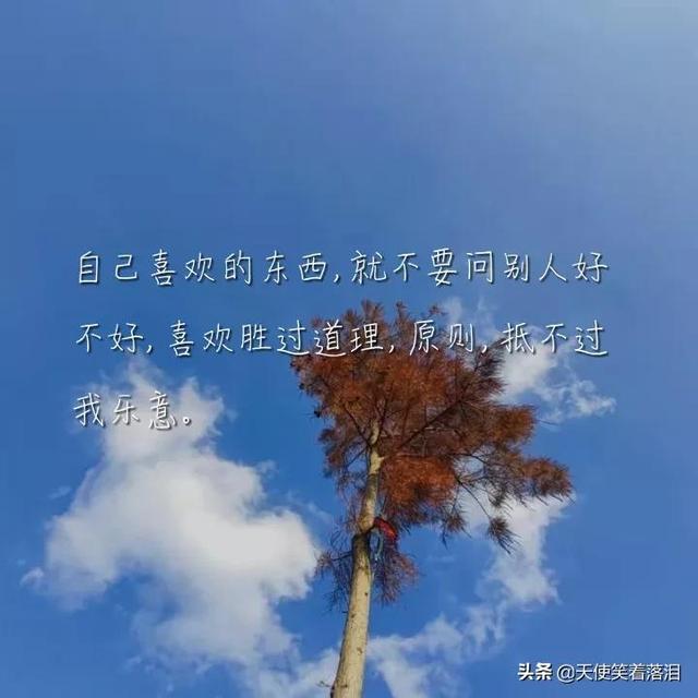 简短好句分享